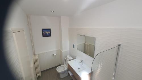 a bathroom with a toilet and a sink and a mirror at Hôtel L'Alsace in Narbonne