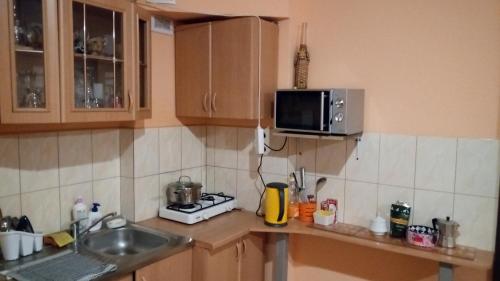 uma cozinha com um lavatório e um micro-ondas em Aleks em Zarasai