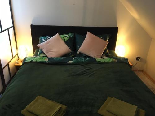 sypialnia z dużym zielonym łóżkiem z poduszkami w obiekcie Apartament nad Jeziorem Nyskim w mieście Skorochow