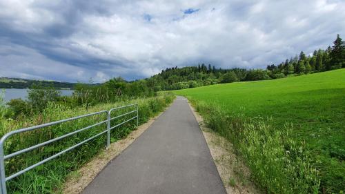 a path in the middle of a field with a fence at Dom Sosenek in Kluszkowce