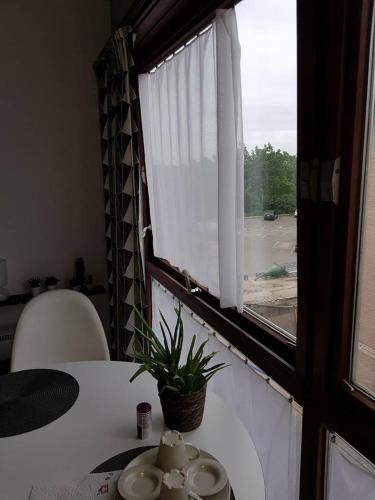 a table with a potted plant and a window at Studio Algarve in Middelkerke