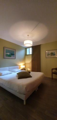 a bedroom with a large white bed in a room at Gite Pago in Villefranche-de-Rouergue