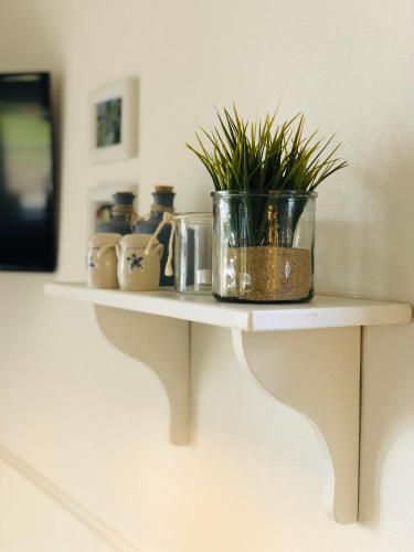 a shelf with a potted plant on it at Pension Lærkelill in Skovlund