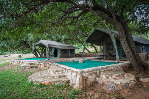 Gallery image of Maninghi Lodge in Balule Game Reserve