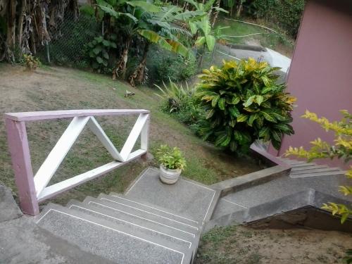 a set of stairs with plants next to a building at Top Ranking Hill View Guesthouse in Speyside