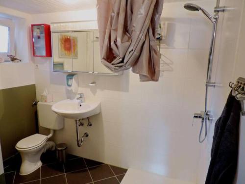 uma casa de banho com um WC, um lavatório e um chuveiro em Charmante Dorfschule em Hohenhameln