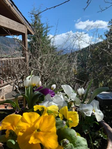a bouquet of flowers in front of a house at Casa Rural Pirineu Nevà in Nevà