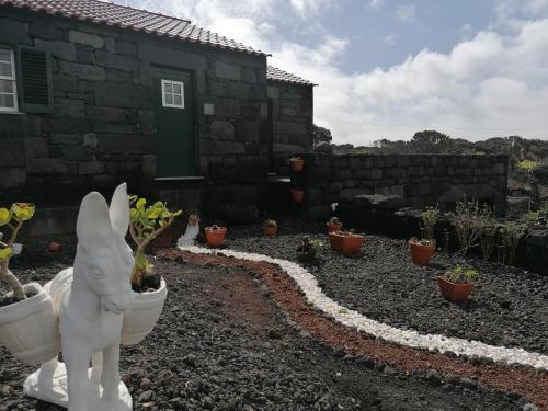 einen Garten mit WC-Schüsseln und Topfpflanzen in der Unterkunft A Casa da Formosinha in Madalena