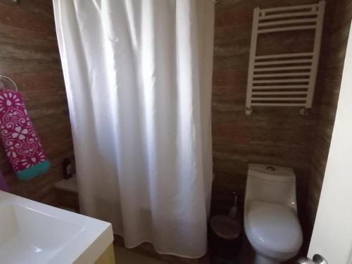 a bathroom with a toilet and a white shower curtain at Departamento en el Centro de Pucón, Hermosa vista al lago !! in Pucón