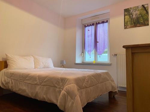 Tempat tidur dalam kamar di Le Chellois appartement La Bresse