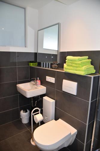 a bathroom with a sink and a toilet and a mirror at Apartment Aurachtal Münchaurach in Falkendorf