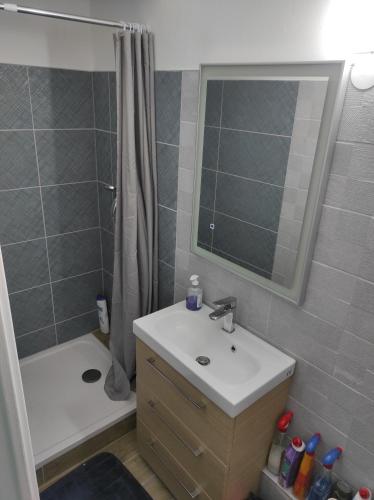 een badkamer met een wastafel en een douche met een spiegel bij STUDIO RENOVé # LA RESERVE # in Sainte-Clotilde