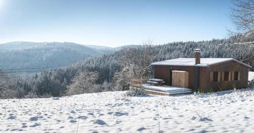 Chalet Panorama - luxe en altitude dans les Vosges v zimě