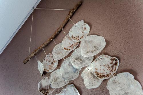 un groupe de coquillages suspendus sur un mur dans l'établissement Sea Star Stay with Private Parking!, à Zandvoort