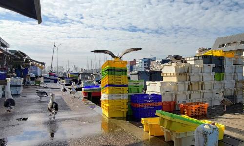 Photo de la galerie de l'établissement La Kaz, à Courseulles-sur-Mer