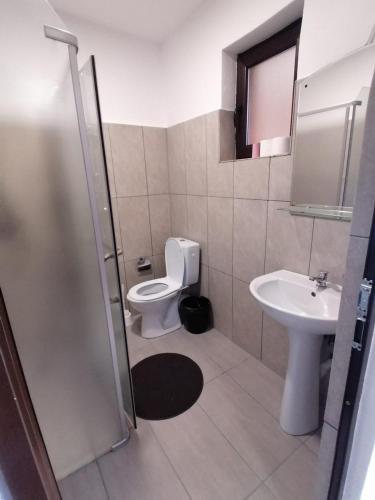 a bathroom with a toilet and a sink at Pensiunea Diana in Colibiţa