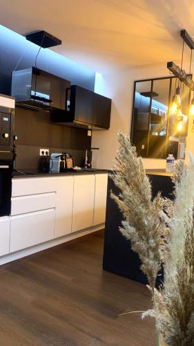 a kitchen with white cabinets and a christmas tree at Appartement vue port et accès direct mer, centre ville de la Grande Motte prés de Montpellier in La Grande-Motte