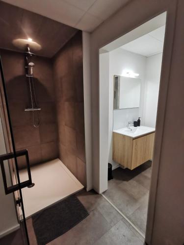 a bathroom with a sink and a mirror at La Librairie in Francorchamps
