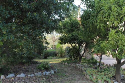 a garden with trees and rocks in a yard at B&B Azzurra in Pescara