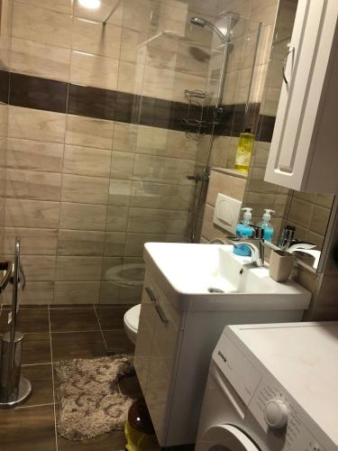 een badkamer met een wastafel, een toilet en een douche bij Apartment Sara in Mostar
