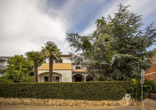 Apartments in Rovinj - Istrien 11528