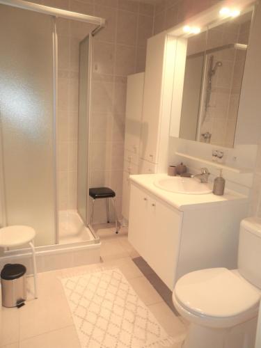 a bathroom with a toilet and a sink and a shower at O ZEE app,garage 200m van strand en centrum in Koksijde