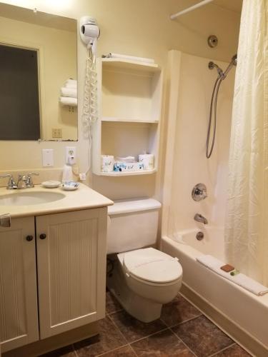 a bathroom with a toilet and a sink and a shower at Silver Surf Motel in Yachats