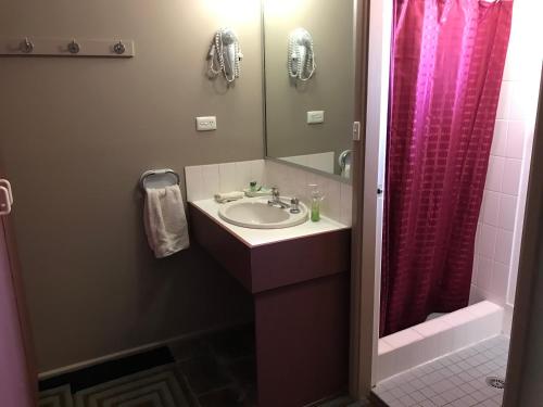 a bathroom with a sink and a shower at Cottonwood Lodge in Berridale