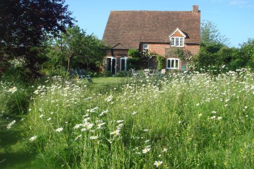 a field of white flowers in front of a house at Field Farm Cottage B&B in Reading
