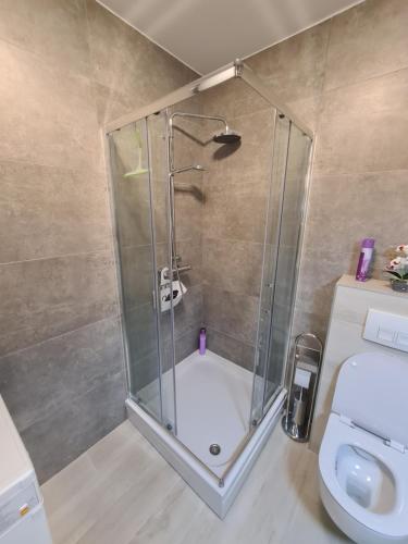 ein Bad mit einer Dusche und einem WC in der Unterkunft Sarajevo Bulevar in Sarajevo