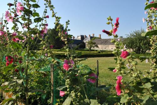 Κήπος έξω από το Chateau La Touanne Loire valley