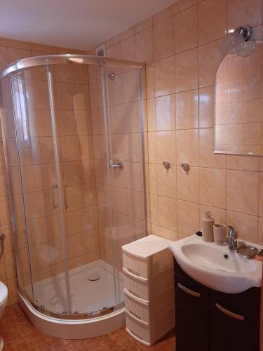 a bathroom with a shower and a sink at Domki Zacisze in Ostrowo