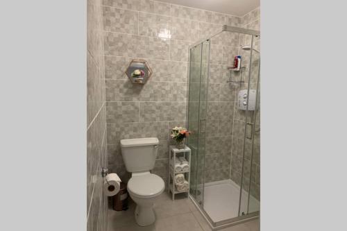 Ванная комната в Two Bedroom Town House Beside The River Barrow