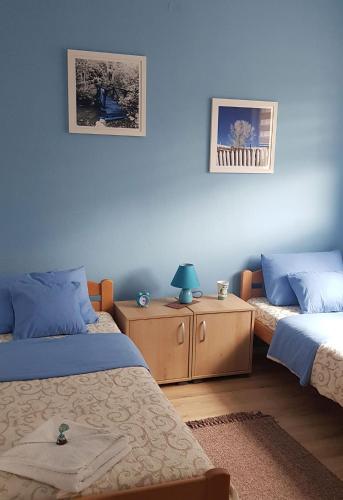 a bedroom with two beds and a table with a lamp at Biserna Dolina Uvac in Sjenica
