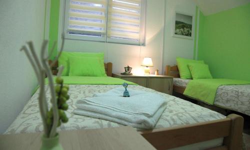 a room with two beds with green walls at Biserna Dolina Uvac in Sjenica