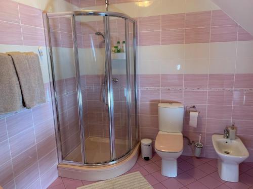 a bathroom with a shower and a toilet at Pie Ezerrozēm in Ķavari