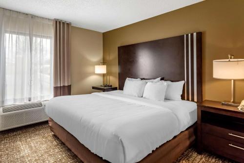 a large white bed in a hotel room with a window at Comfort Inn Paducah I-24 in Paducah
