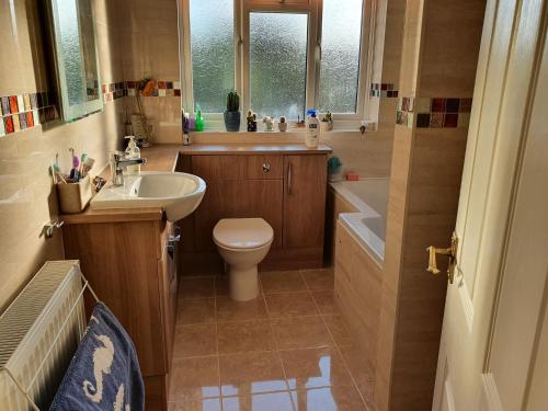 a bathroom with a sink and a toilet and a tub at Eltham-Lee in Eltham