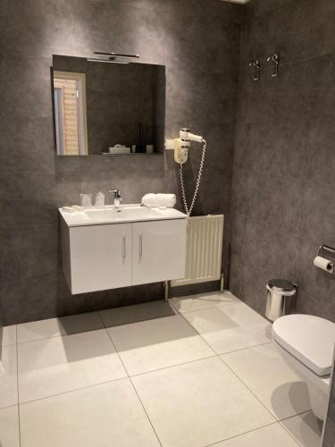 uma casa de banho com um lavatório, um espelho e um WC. em Le Relais De La Haute Sambre em Lobbes