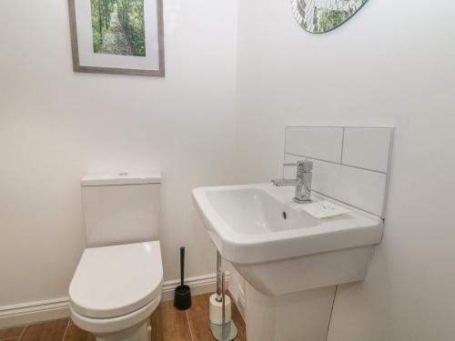 ein weißes Badezimmer mit Toilette und Waschbecken in der Unterkunft Holly Cottage in Sheffield