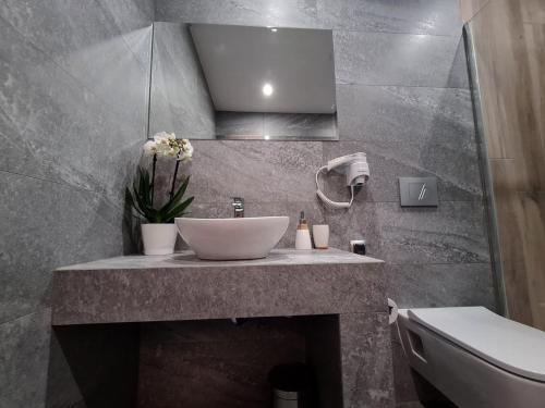 a bathroom with a sink and a toilet at Rezydencja Biały Dworek in Wisła