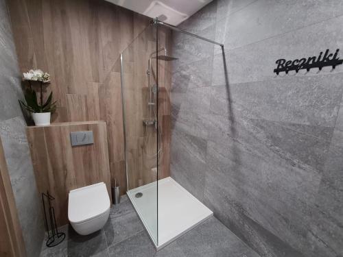 a bathroom with a toilet and a glass shower at Rezydencja Biały Dworek in Wisła