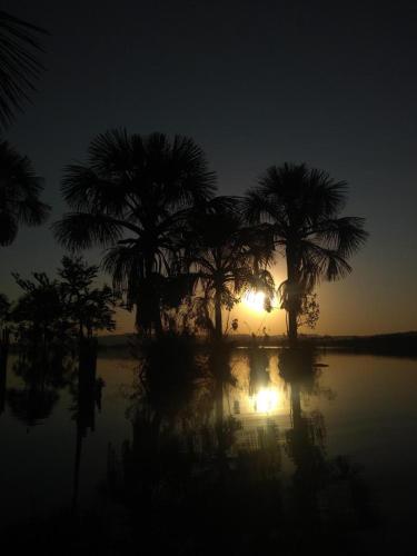 a group of palm trees in front of the sunset at Hotel Manacá in Sacramento