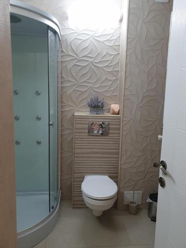 a bathroom with a toilet and a glass shower at Caprice Deluxe Accomodation in Drobeta-Turnu Severin