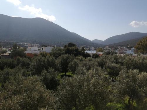 Φωτογραφία από το άλμπουμ του Almira Ghouse στον Αλμυροπόταμο