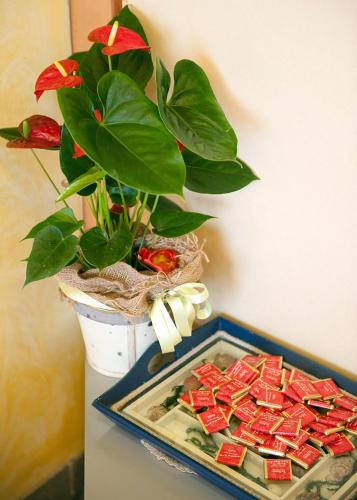 a table with a plate of food next to a plant at Hotel Dolly in Viareggio