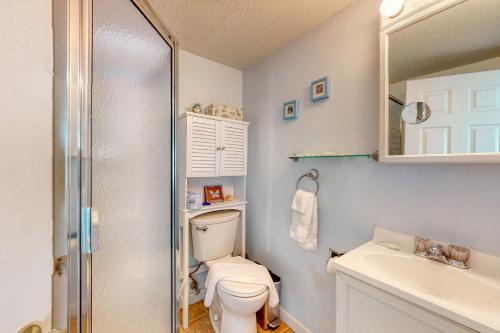 ein Bad mit einem WC, einem Waschbecken und einer Dusche in der Unterkunft Hampton Beach Hangout & Nancy's Villa in Hampton