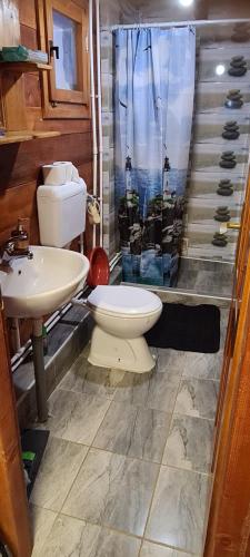uma casa de banho com um WC e um lavatório em Markove kolibe 1, Uvac,većaa em Sjenica