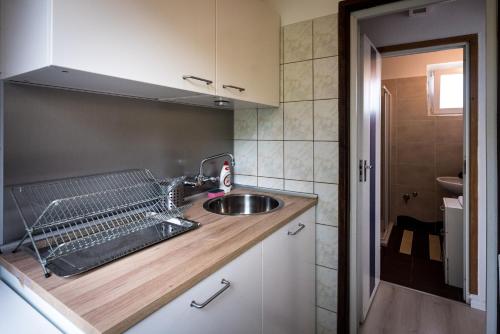um balcão de cozinha com um lavatório e um lavatório em Ciprus Lak em Szarvas
