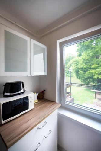a kitchen with a microwave on a counter with a window at Ciprus Lak in Szarvas